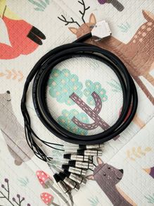 Lynx DB25 to Female XLR Multicore 3M Cable