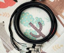 Lynx DB25 to Female XLR Multicore 3M Cable