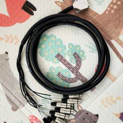 Lynx DB25 to Female XLR Multicore 3M Cable