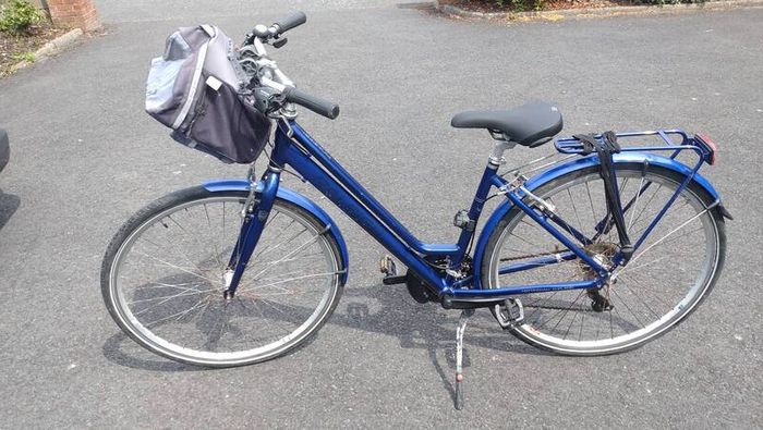 Raleigh Pioneer 1 ladies bike