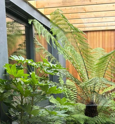 Soft landscaping services North Dublin