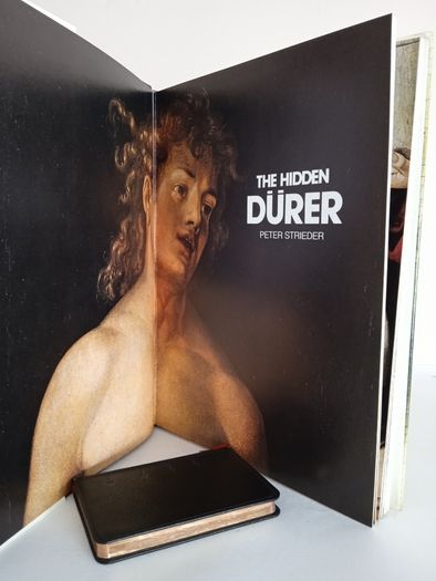 The Hidden Durer by Peter Strieder (GT561)