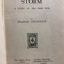 Peadar O'donnell Book Storm Rare 1st Edition Image 3