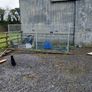 Galvanised Dog Pen Image 2