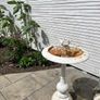 Iron bird bath Image 2