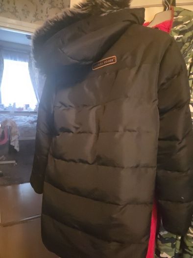 canada goose