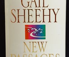 SALE!  New Passages - Mapping Your Life Across Time