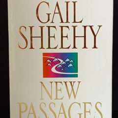 SALE!  New Passages - Mapping Your Life Across Time