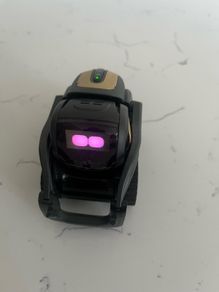 Anki Vector