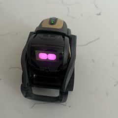 Anki Vector
