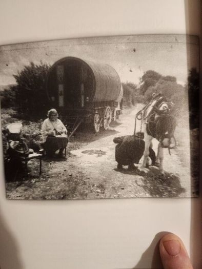 Travlers. Black Stones Around The Green Shamrock.  A Poetry Anthology  By And About Travlers. Compiled By Michael O'reilly And Mairin Kenny. First Edition Paperback In Good Condition.