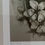 Zdenka Burgetova limited edition signed print 22 of 100 Image 4