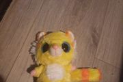 big eyed colourful racoon