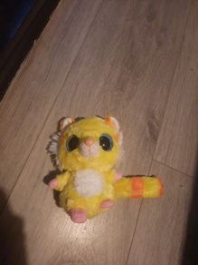 big eyed colourful racoon