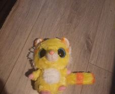big eyed colourful racoon
