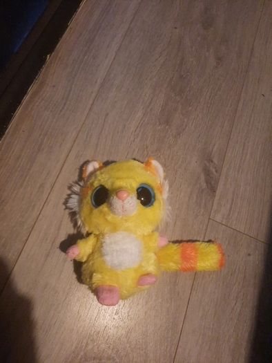 big eyed colourful racoon