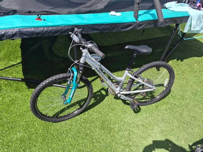 Girls Bike - Ridgeback Destiny 24