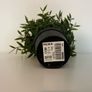 IKEA Fejka artificial plant Image 3