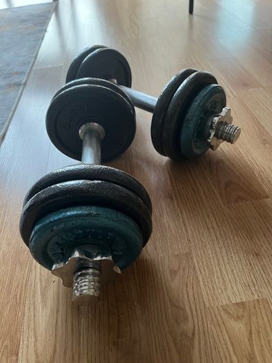 2x 9kg cast iron dumbbells
