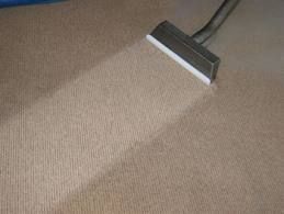 Carpet Cleaning equipment Prochem