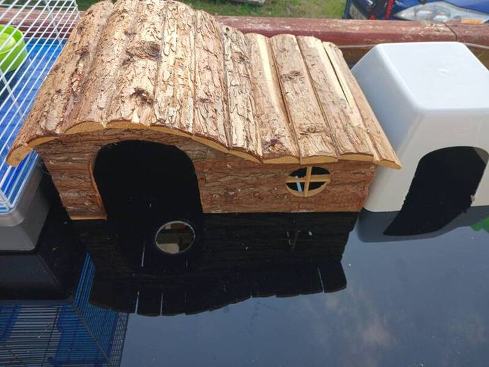 little pet houses