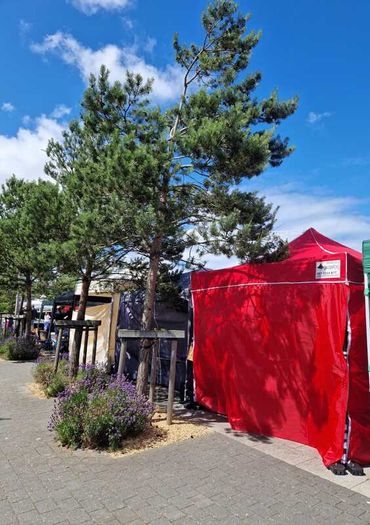 NEW Extra strong pop-up GAZEBO 3x3m (FREE side panles)