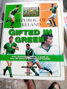 Republic of Ireland Gifted in Green