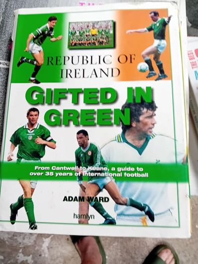 Republic of Ireland Gifted in Green