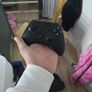 xbox series x and flight sim Image 5