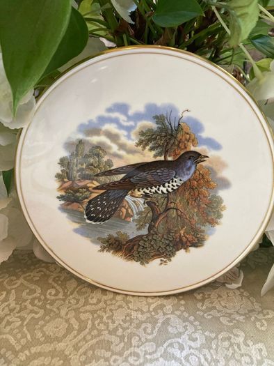 Vintage Coalport  pot pads