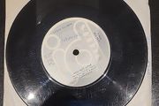 Teddy Palmer You Got Love Rare Irish 7 Inch Vinyl