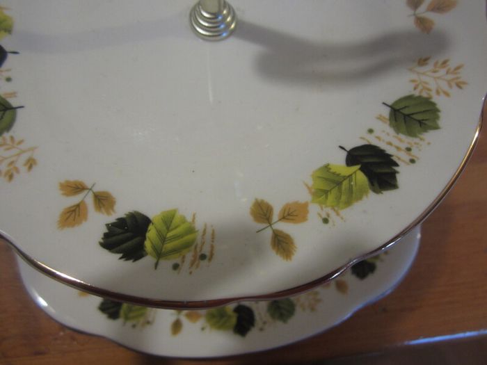 Hanleigh bone Irish china