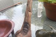 African wood carving and stone sculpture, no damage, D18
