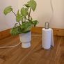 plant and pot Image 3