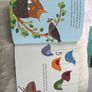 Counting Birds Alice Melvin Image 3