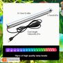RGB Aquarium Landscape Light with 7 Colours And 3 Dynamic Modes, Image 7