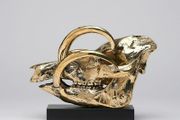 Wild Pig Skull (30 cm) - Polished Bronze