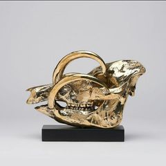 Wild Pig Skull (30 cm) - Polished Bronze