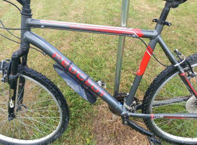 gents bike