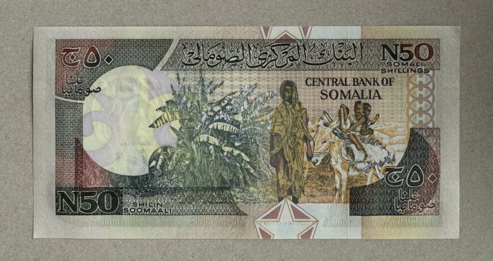 Somalia 50 Shillings 1991 Banknote