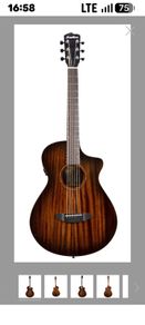 Breedlove Concert Pro guitar.