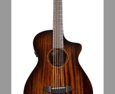 Breedlove Concert Pro guitar.