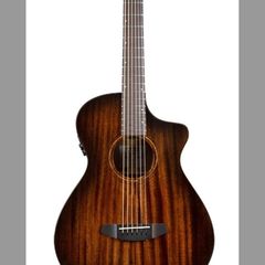 Breedlove Concert Pro guitar.