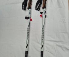 Walking poles