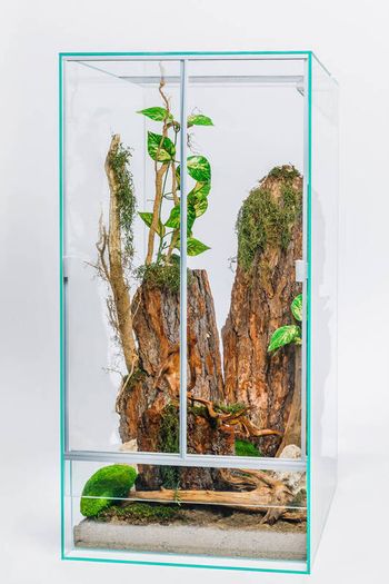 Terrariums Different Sizes