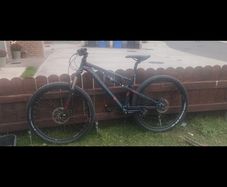 Carrera bike