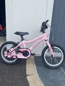 Ridgeback Honey bike