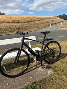 Trex fx 2