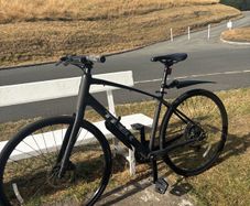 Trex fx 2