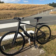 Trex fx 2